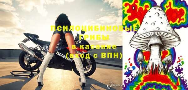 каннабис Аркадак