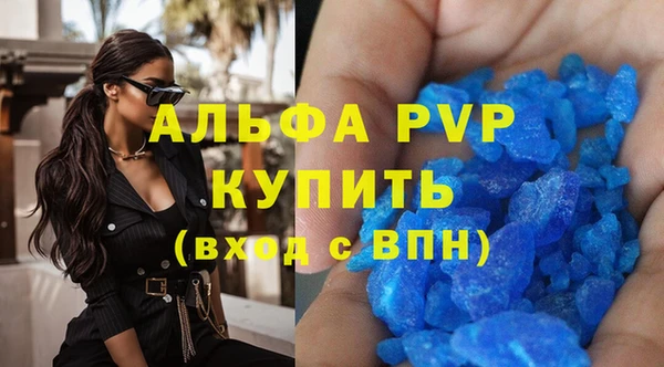 стаф Арсеньев