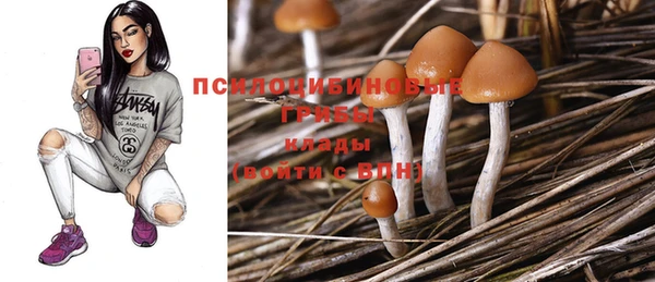 стаф Арсеньев