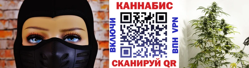 что такое   Шарья  МАРИХУАНА индика 